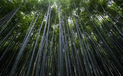 文案收入