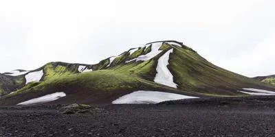 护士资质验证