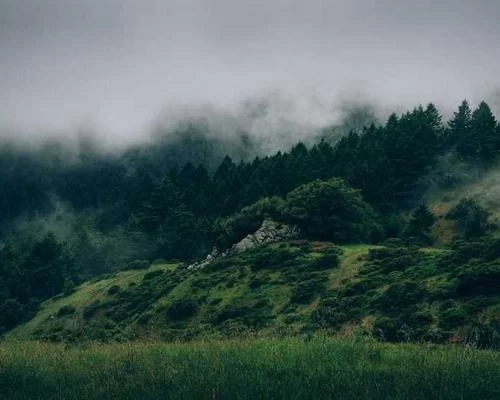 手机副业工作场景