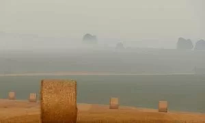 福州小吃副业