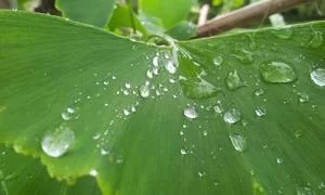 多样化选择
