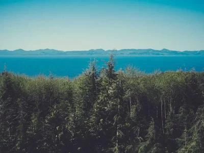 海口数据录入服务