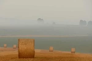 庞大受众群体