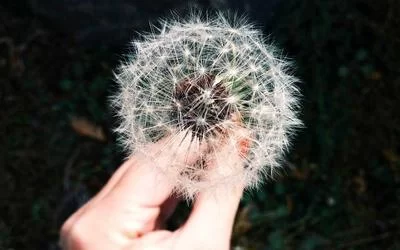清晨副业闹钟