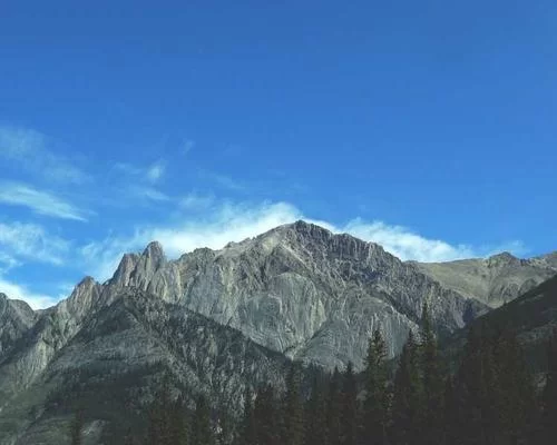 副业闹钟叫起床