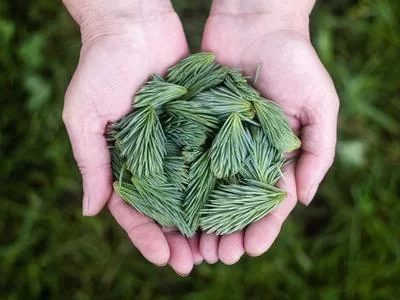 科研行业限制