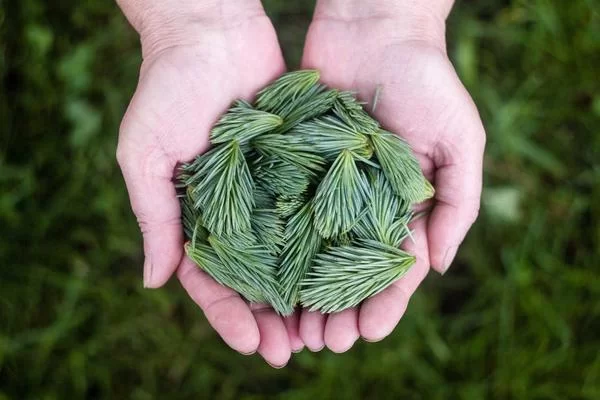 副业收入超过主业的成功案例
