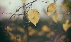 数字工具使用