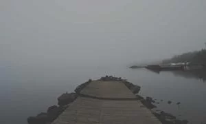 在线咨询服务