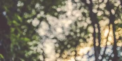 汉字教学