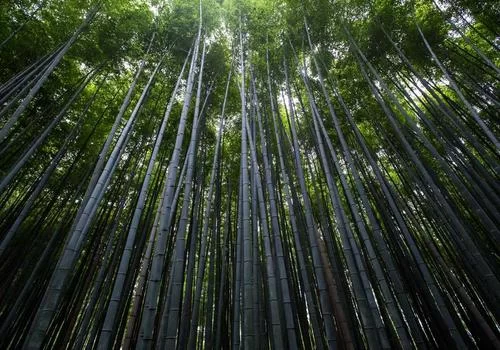 日中翻译工作场景