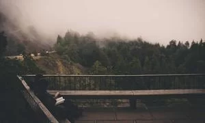 技术专长变现