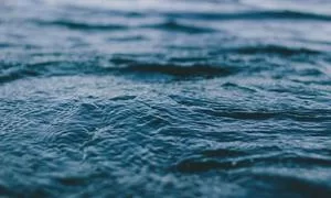 上海副业成功案例