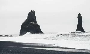宠物培养技巧