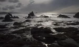 孝经全文白话翻译服务