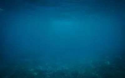 交通大数据应用