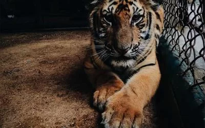 不孕治疗