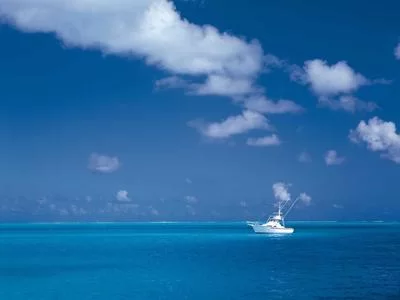 自由职业副业