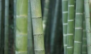 产品迭代