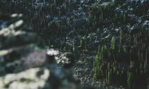 探索阶段