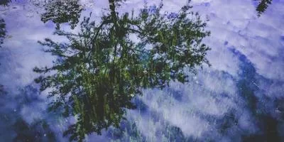 个性化指导