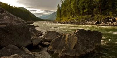 多元收入是财务健康的标志
