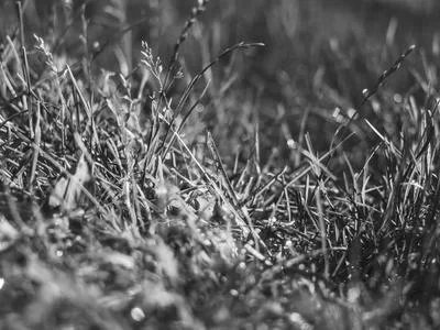 交易型副业