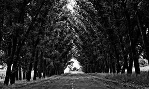 技能教学