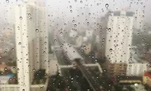 编程副业收入来源