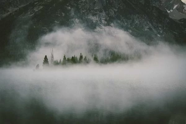 税局增加副业申请流程图