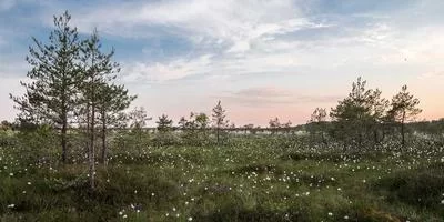 可扩展性强