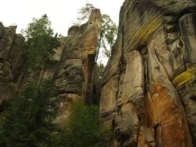 医学翻译领域