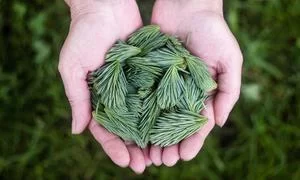 艺术社区网络