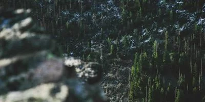网红小吃