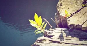 赚钱副业