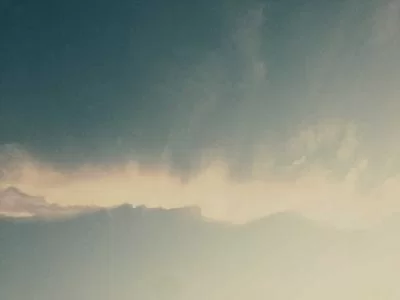 全程专业支持