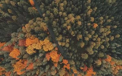 酒吧驻唱行业现状
