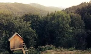 上班族兼职案例