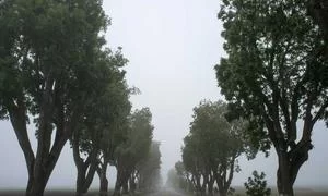 内容创作与自媒体