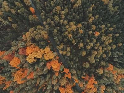 个性化方案