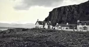 法语翻译工作