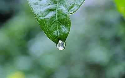 项目匹配