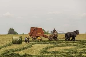营销能力