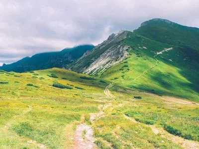 转化优化