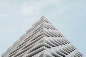 宠物服装成功案例4