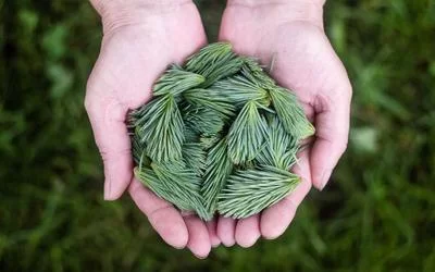 张老师的转型之路