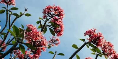 数字艺术家成功案例