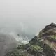 上班族张姐的经历