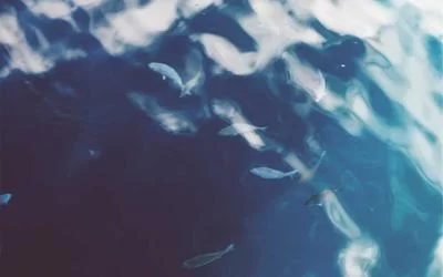 副业模特入门指南