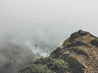 上班族案例